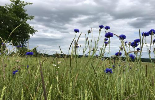 Lettwieshof Birgit und Peter Heine - Photo 60