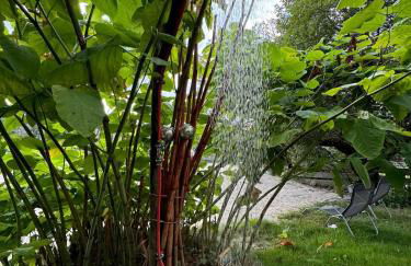 BERG WELT im Erzgebirge - Photo 49