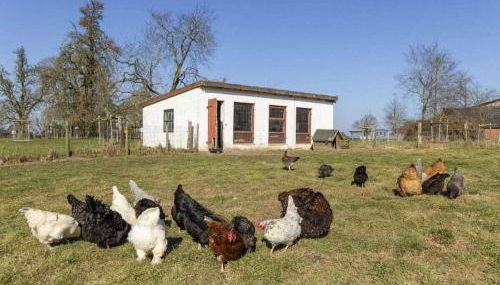 Holoiday home House starboard - Foto 5, Other