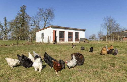 Holoiday home House starboard - Foto 5