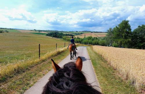 Ferienhaus Schilz II - Urlaub auf dem Bauernhof - Foto 34