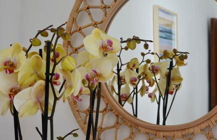 Villa Cal Peso - Foto 22