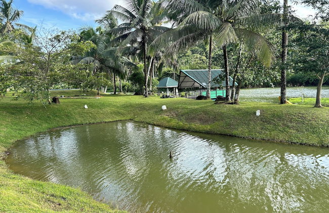 Heaven By The Lake - Foto 37