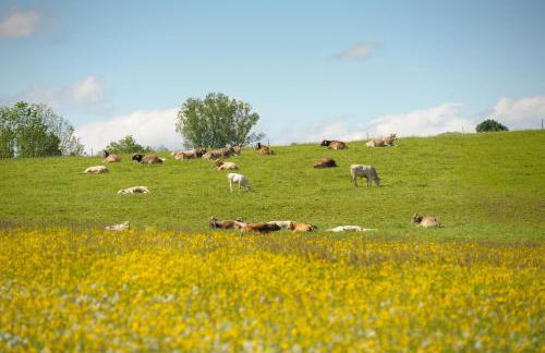 Ferienwohnung Hof Zürnen - Photo 7