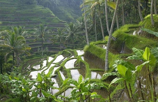 Green View Private Villas - Foto 63