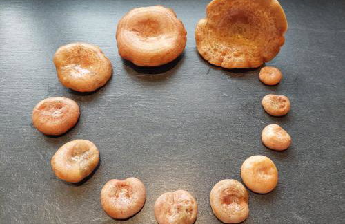 Pauza Drzewoszewo - Dom nad jeziorem - Foto 12