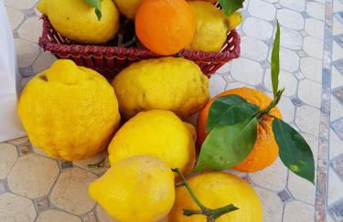 CASA ROSELLINA SORRENTO - Photo 22