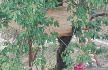 Agriturismo Mirasole - Foto 6