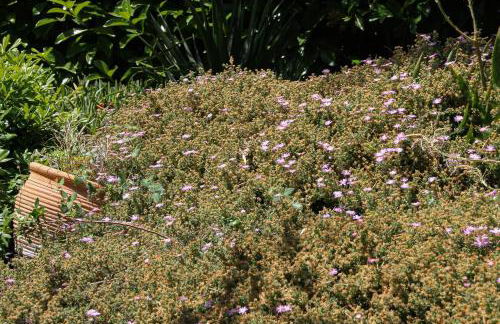 Refugio verde con encanto - Foto 24