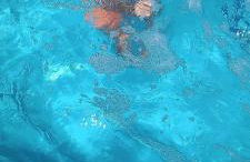 Casa para família curtir o Verao na praia de Cabecudas com piscina e quintal amplo - Foto 15