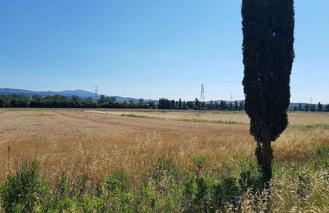 Agriturismo Bio Fattoria di Pietra - Foto 61