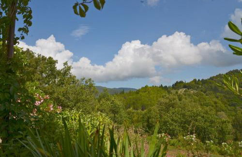 Poggio Ferrone - Foto 6