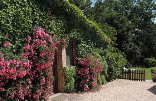 Castellare - Foto 65