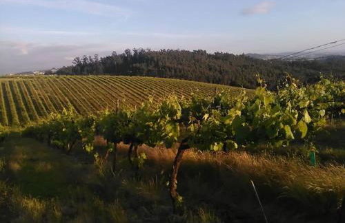 Férias felizes em família/com amigos - Foto 10