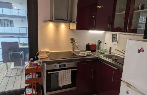 Beautiful flat around Geneva & its airport Palexpo - Photo 29