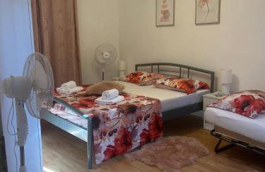 Villa Roža - Foto 22