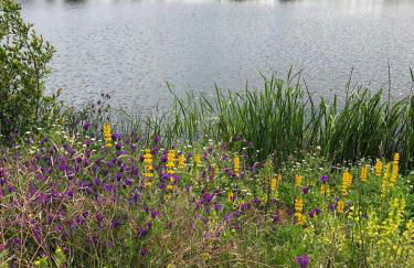 Quinta BEMBOA Turismo Espaço Rural - Foto 67