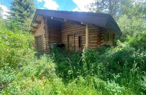 Aspen's Cabin - Foto 15