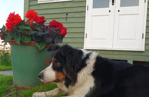 The Journeyman Luxury Shepherds Hut - Foto 32