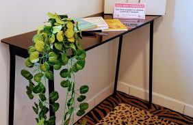 8º Relax - Cama de Massagem! - Foto 24