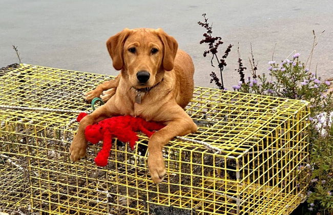 Close Call - Photo 11