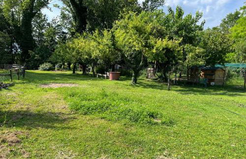 Casa Feletto con parco verde vicino uscita autostrada e fiera - Foto 15