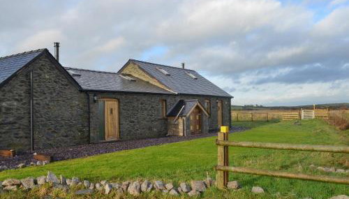 Lapwing - Uk6706 - Foto 2