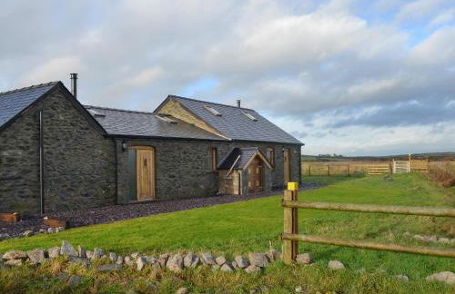 Lapwing - Uk6706 - Foto 2