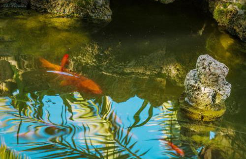 Alojamiento Rural el Azamur - Foto 64