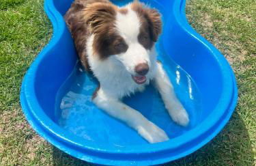 Casa de Praia Manguinhos - Photo 26