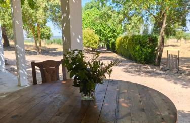 Monte dos 2 Tanques - Foto 27