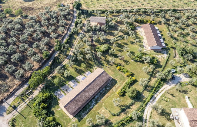 Azienda Agricola Il Bagolaro - Photo 31