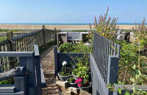 Horizon View - Photo 16