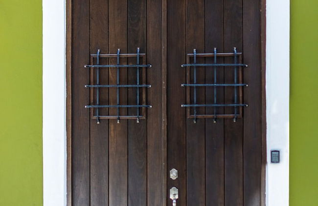 150 Sol by Stay with Bear - Photo 1