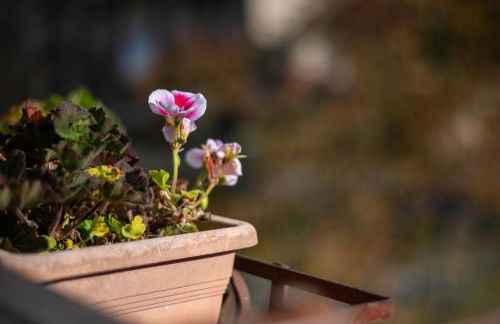 Casa Doriana - Foto 21