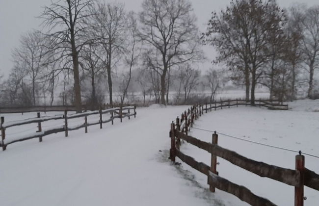 Appartement Landhaus Markus, Suderschwei - Foto 19