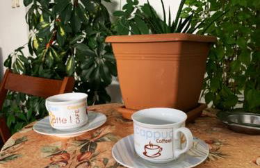 zoe's apartment Bright&Cozy - Foto 46