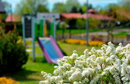 Babie Lato - Foto 30