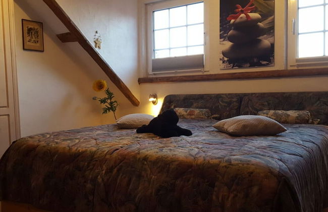 Vakantie in het Dorp - Photo 2