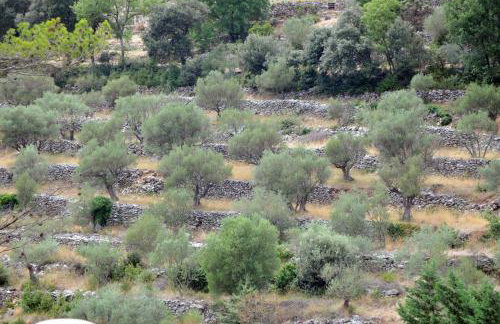 Mas climatise, piscine chauffee privee - parc regional naturel st baume - Foto 26