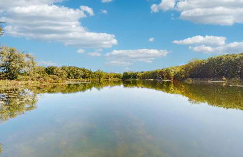 Prairie Flowers at Peppermill Lake - Foto 24