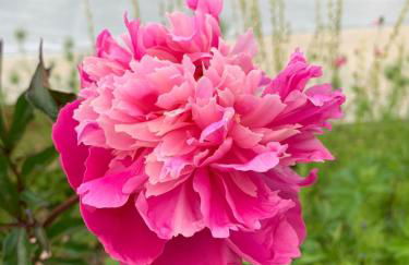 Cute cob cottage - Photo 10