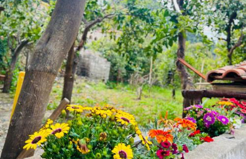 SokratesVilla - Foto 27