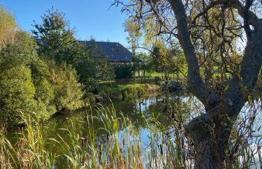 Harmony House - Appartement Blue - Photo 25