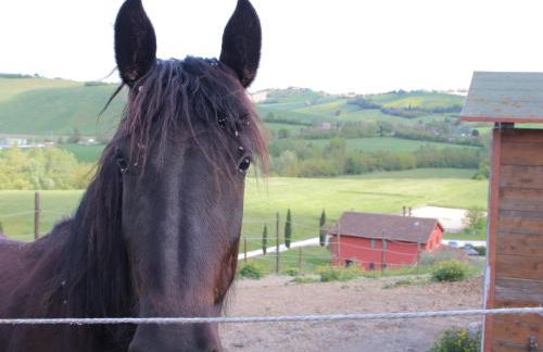 Le Dame Country House, Marche - Foto 14