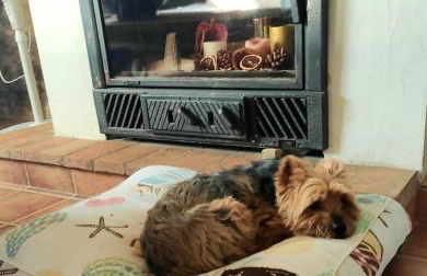 La Ultima Casa Masboquera - Foto 40