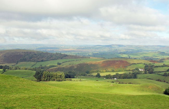 Drovers Retreat - Foto 32