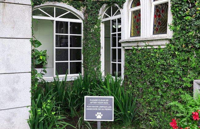 Casa Conde Apartamentos - Photo 23