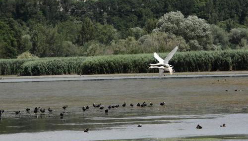 Podere Calledro - Foto 5