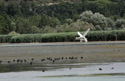 Podere Calledro - Foto 5